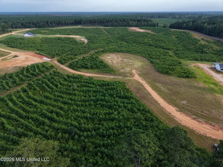 Parcel 6 Firehouse Road, Liberty, MS 39645 - #3