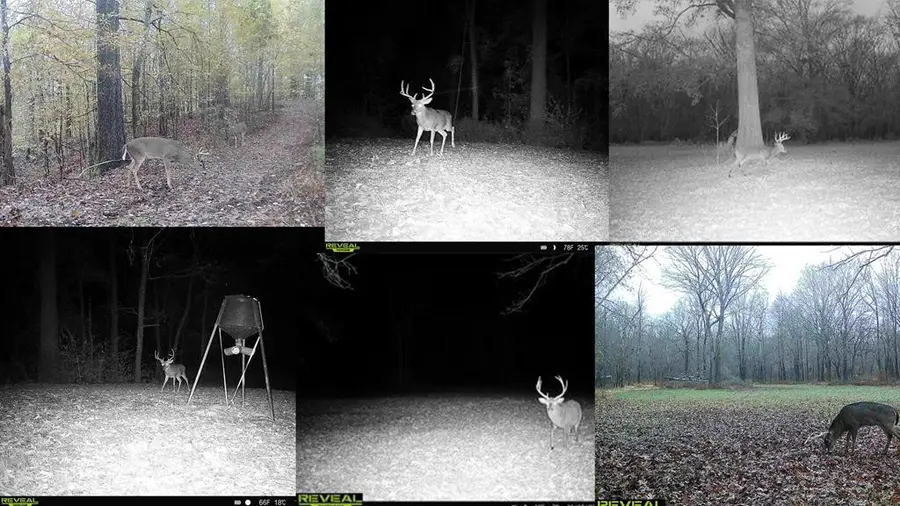 199 Robert Williams Road, Lorman, MS 39096 - Image #2