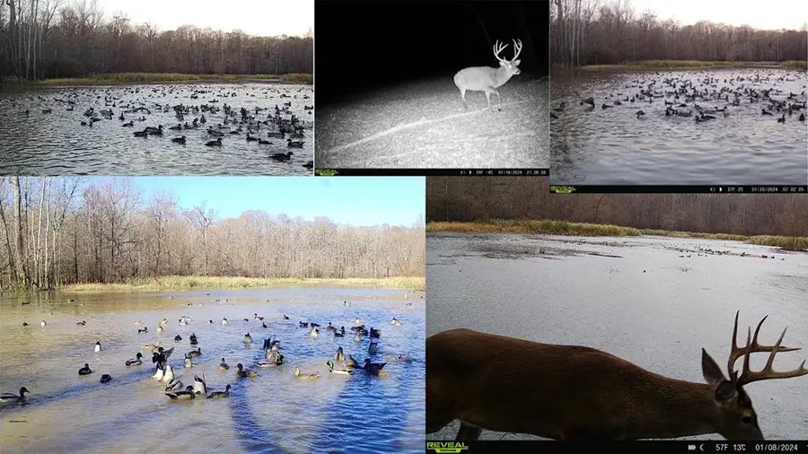 199 Robert Williams Road, Lorman, MS 39096 - Image #3