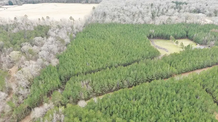 Anderson Road, Wesson, MS 39191 - Image #2