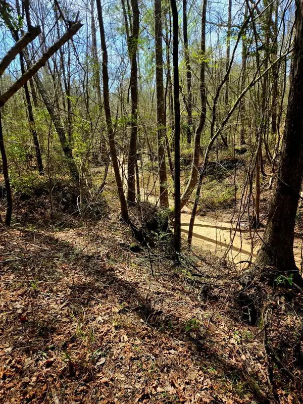 00 J.l. Robbins Road, Carson, MS 39427