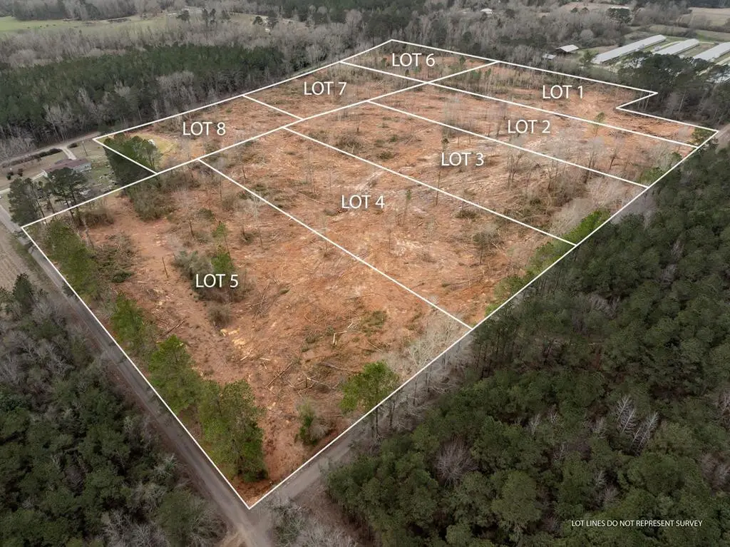 3 Fulgham Road, Tylertown, MS 39667 - Image #1