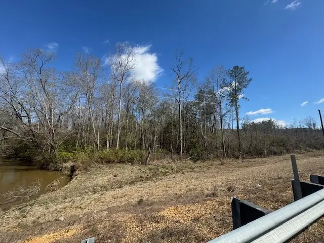 1111 Mount Olive Rd Se, Bogue Chitto, MS 39629 - Image #2