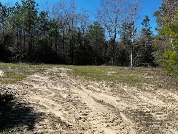 Lot #4 Jessie Stogner Road, Sandy Hook, MS 39667