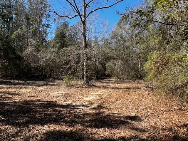 Lot #4 Jessie Stogner Road, Sandy Hook, MS 39667 - Image #3