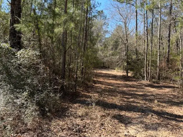 Lot #5 Jessie Stogner Road, Sandy Hook, MS 39667 - Image #1