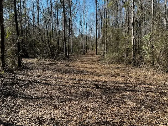 Lot #3 Jessie Stogner Road, Sandy Hook, MS 39667 - Image #3