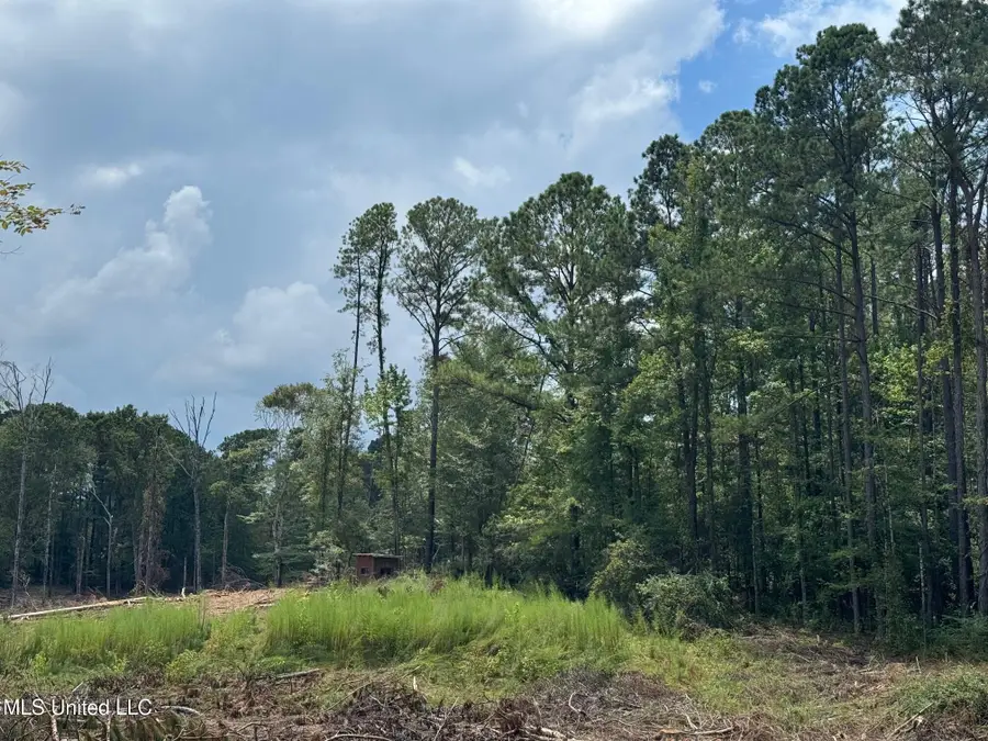 1 Hwy 24, Liberty, MS 39645 - #2