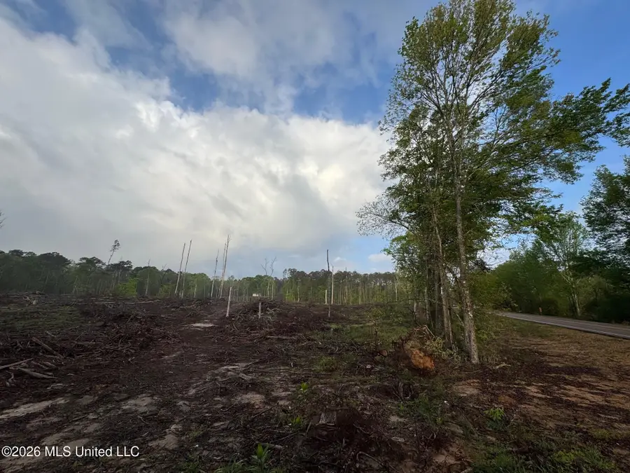 2 Hwy 24, Liberty, MS 39645 - #3