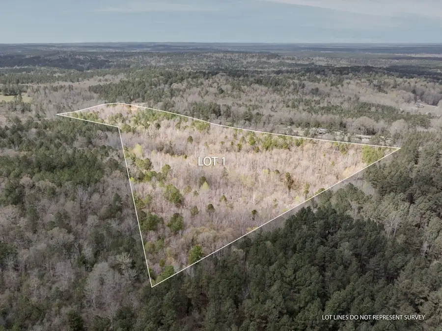 1 Co Rd 16, Pachuta, MS 39347 - Image #2