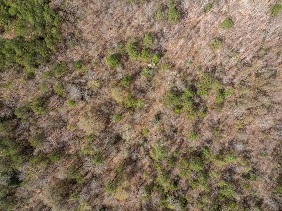 2 Co Rd 16, Pachuta, MS 39347 - Image #2