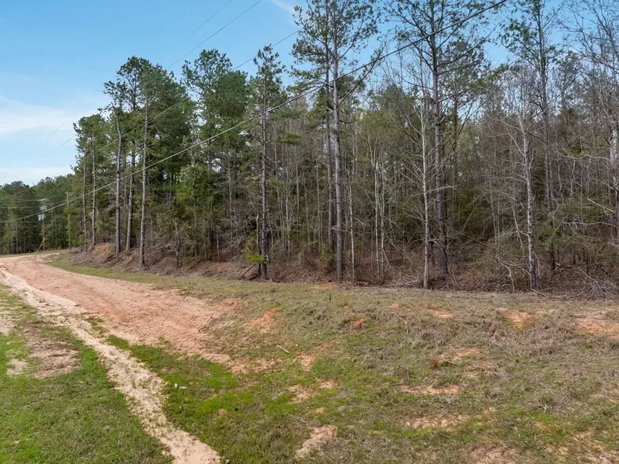 5 County Road 16, Pachuta, MS 39347 - Image #3