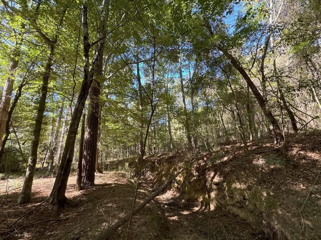 TDB Delaware Avenue, McComb, MS 39648 - Image #1