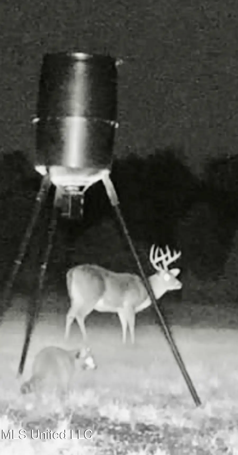 1090 Roberts Road, Summit, MS 39666 - Image #2