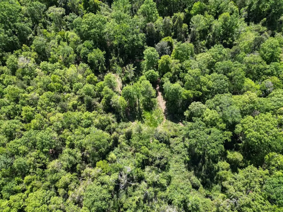 4199 Pumping Station Road, Osyka, MS 39657 - Image #3