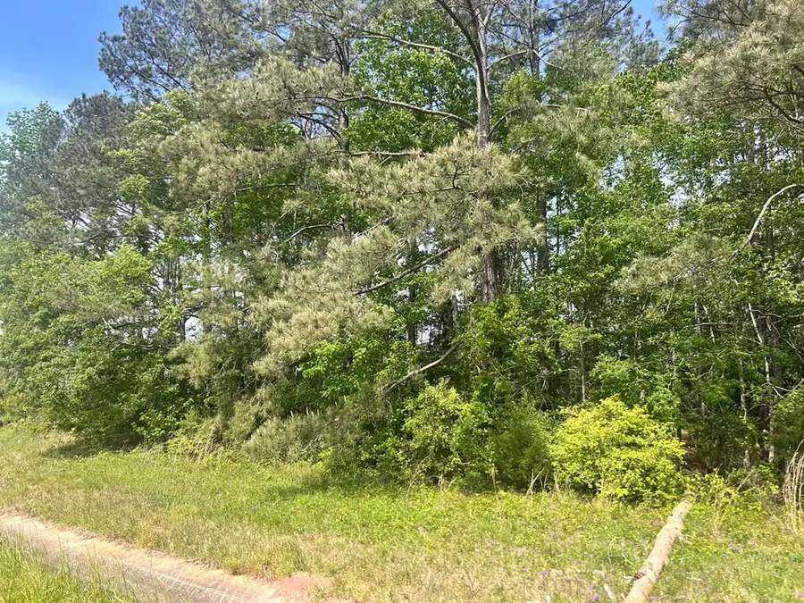 Tbd Hwy 44e, McComb, MS 39648 - Image #2