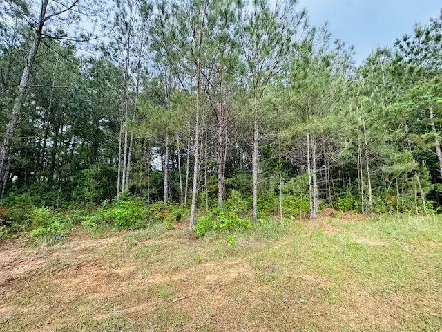 TBD Hwy 98 Ea Street, Tylertown, MS 39667 - Image #3