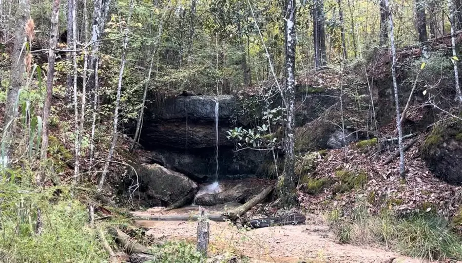 0 Stump Road, Gloster, MS 39638 - Image #2