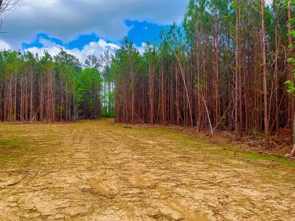 TBD Reeves Rd Se, Ruth, MS 39662