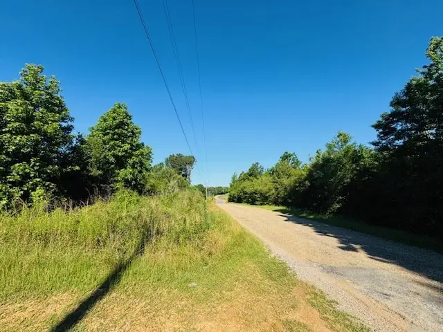 TBD Sims Thornhill Road, Tylertown, MS 39667 - Image #2