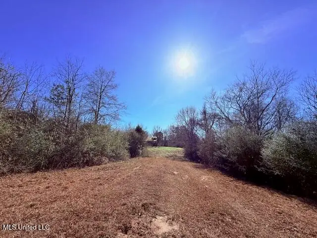 TBD Sims Thornhill Road, Tylertown, MS 39667 - Image #3