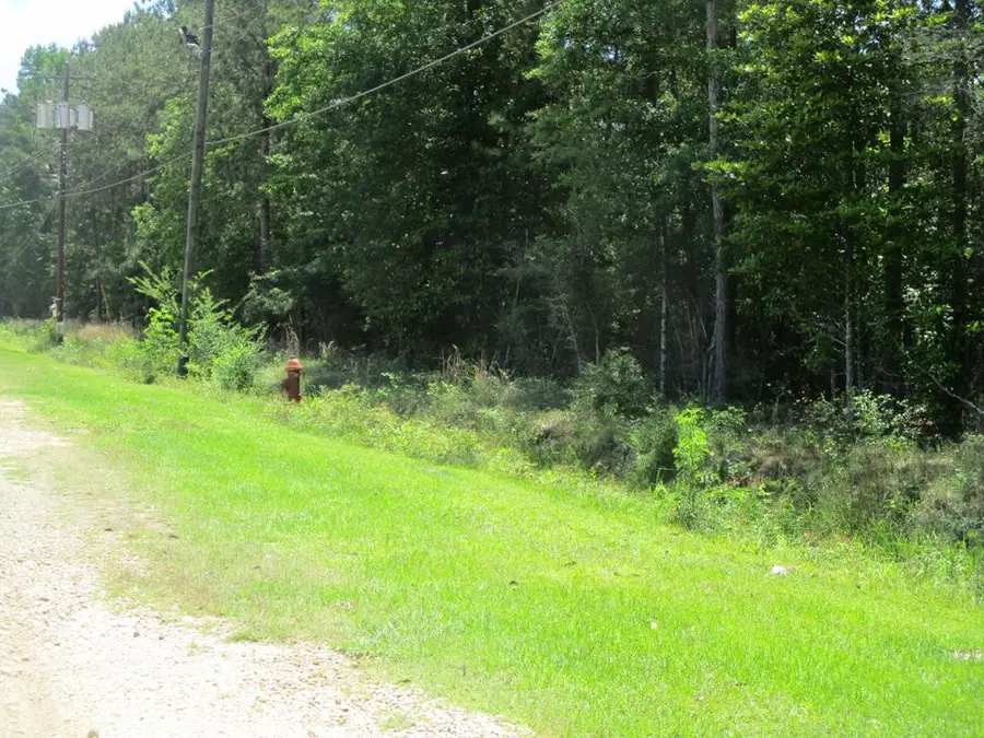 000 E 17th Street, Franklinton, LA 70438 - Image #2