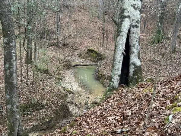 0 Murray Road, Crosby, MS 39633