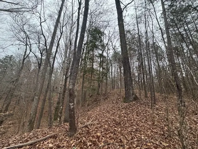 0 Murray Road, Crosby, MS 39633 - Image #3