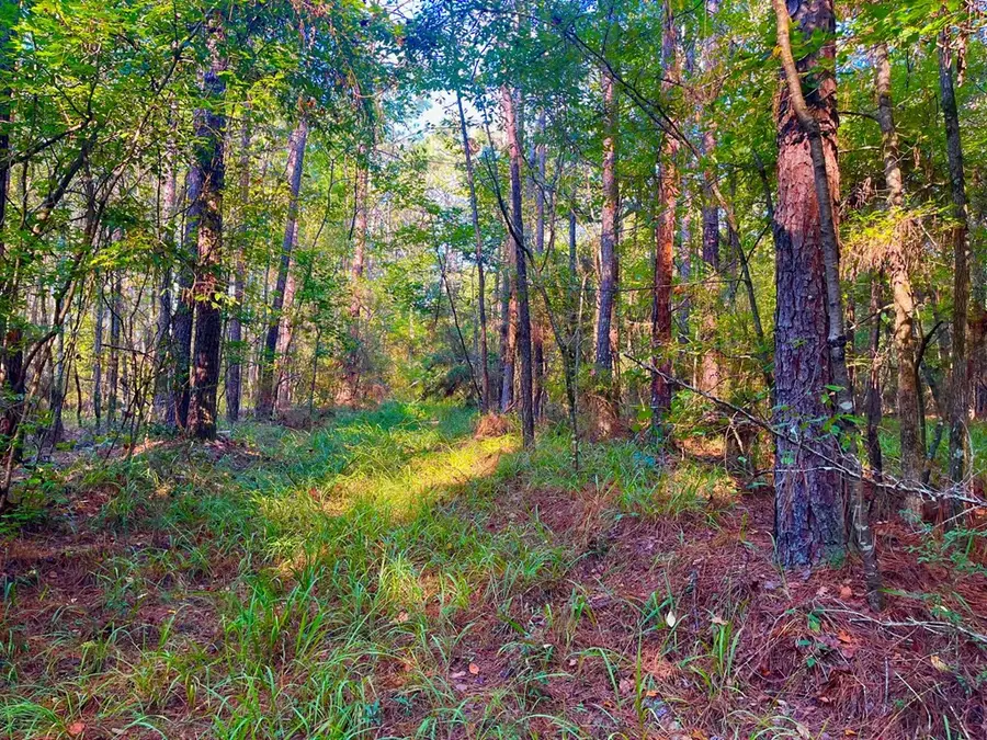 3050 James Drive, Wesson, MS 39191 - Image #2