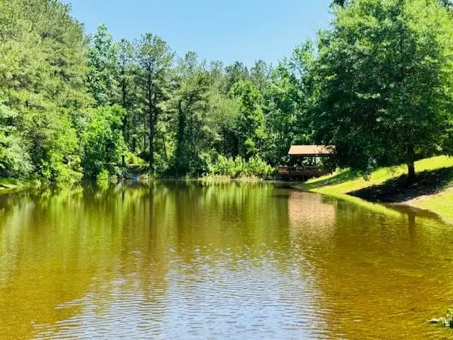 107a Brock Road, Tylertown, MS 39667 - Image #3