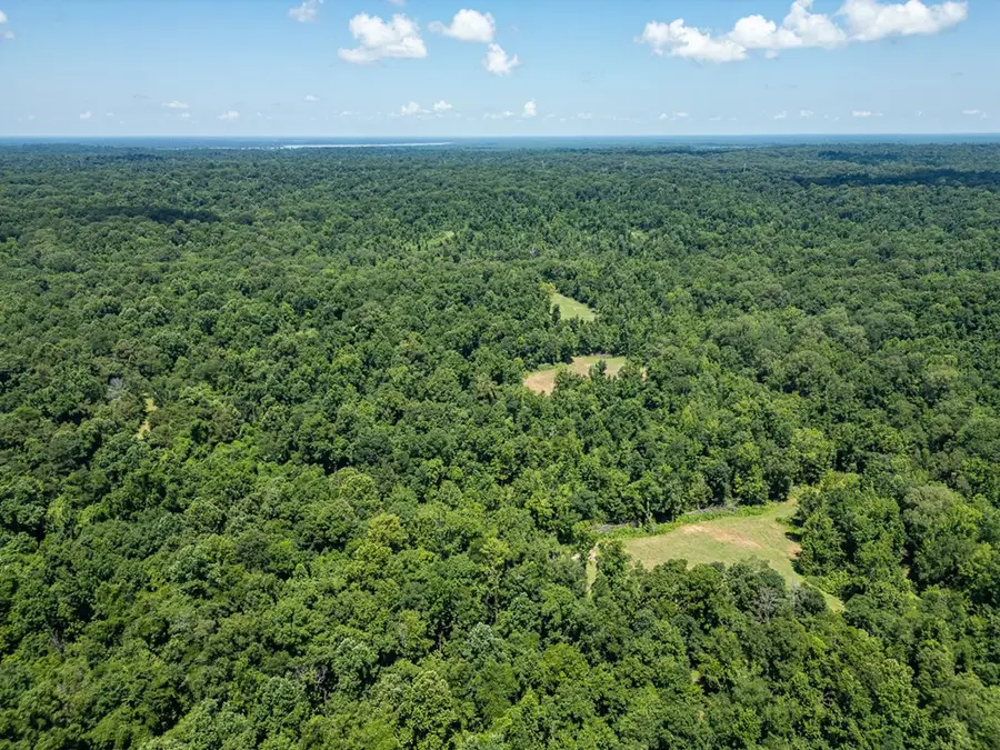 3169 Karnac Ferry Road, Port Gibson, MS 39150 - Image #2