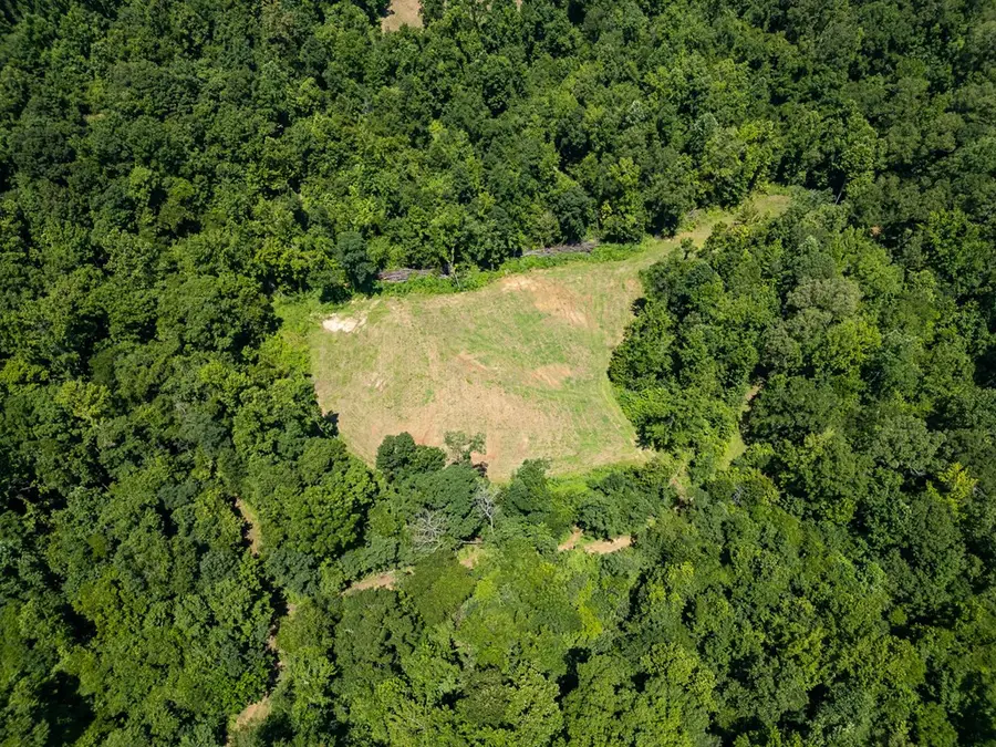 3169 Karnac Ferry Road, Port Gibson, MS 39150 - Image #3