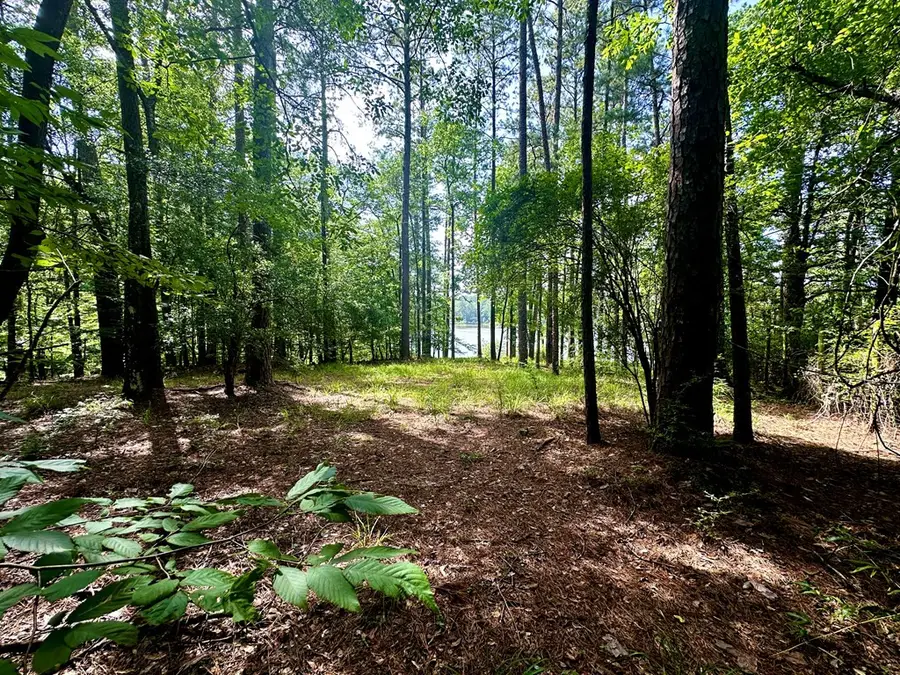 1054 Gardenia, Summit, MS 39666 - Image #3