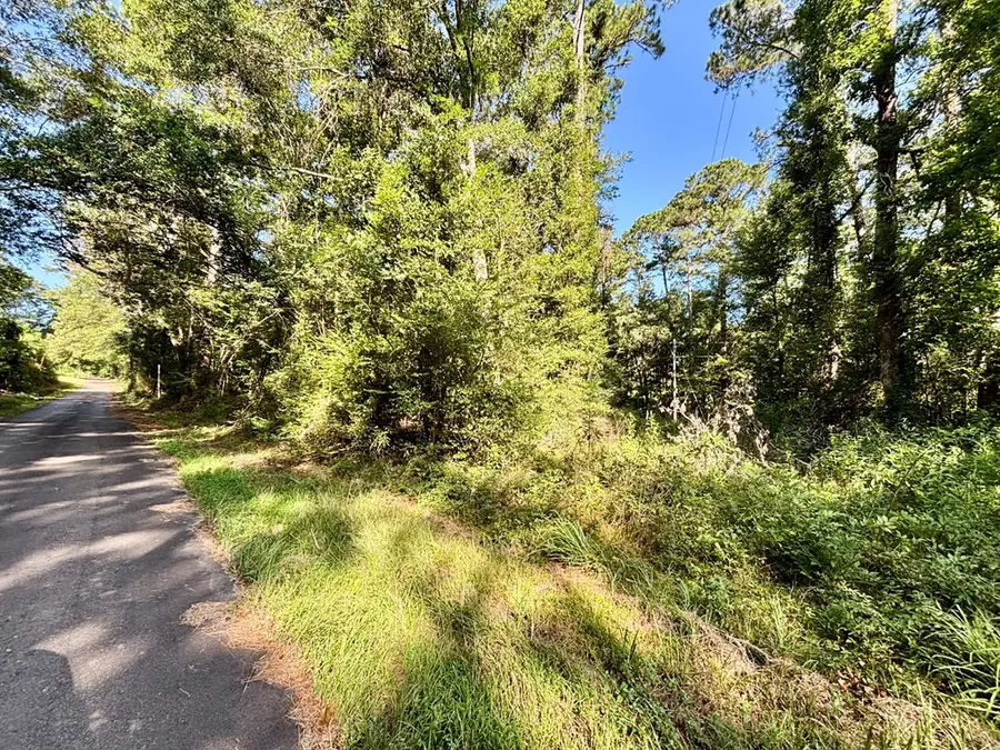 XXX Brewer Lane, McComb, MS 39648 - Image #2