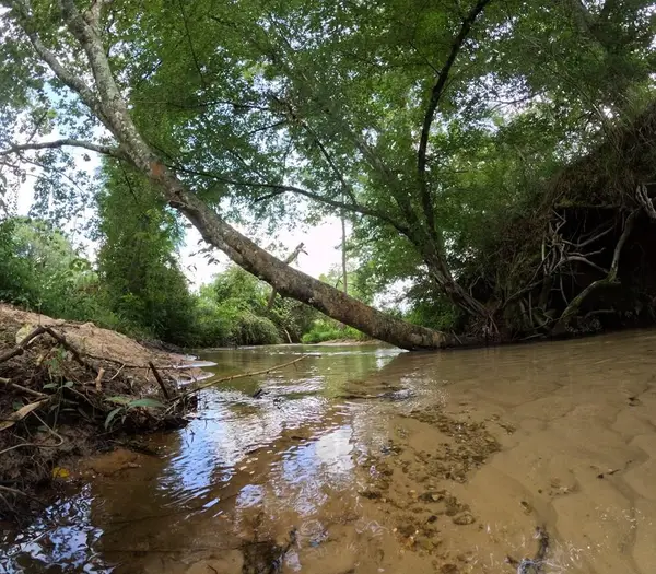 1608 Highway 586, Foxworth, MS 39483