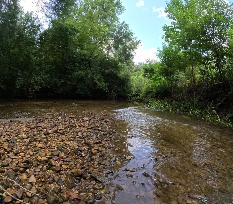 1608 Highway 586, Foxworth, MS 39483 - Image #3