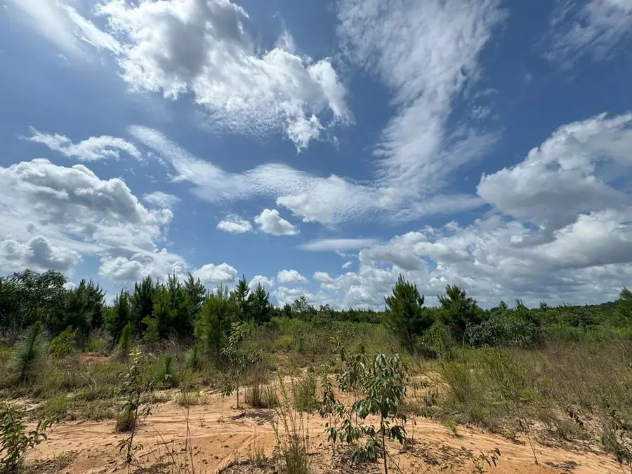 0 Off Hutson Morris Road, Columbia, MS 39429 - Image #2