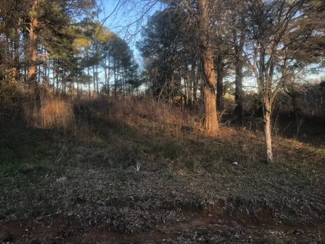 TBD Integrity Rd. Lot #13, McComb, MS 39648 - #3