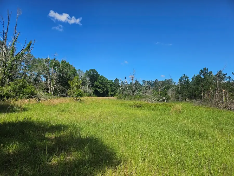 0 Highway 43, Columbia, MS 39429 - Image #3