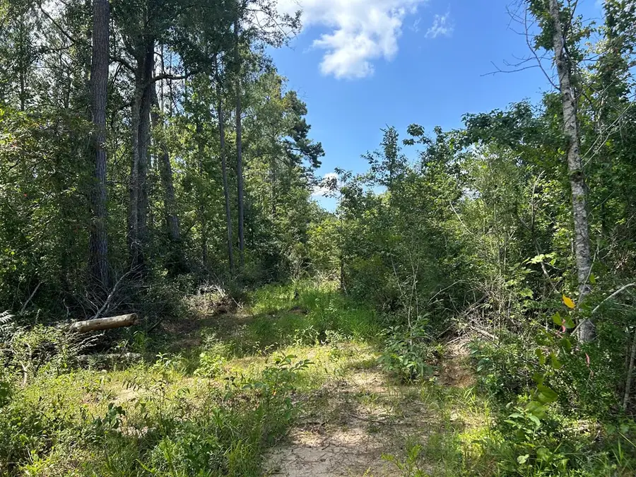 Tbd Hwy 570, Summit, MS 39666 - Image #2