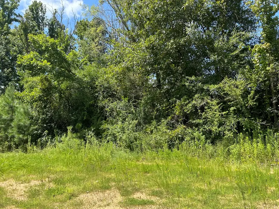 TBD Hwy 570/river Road N/ Shell Oil Road, Summit, MS 39666 - Image #2