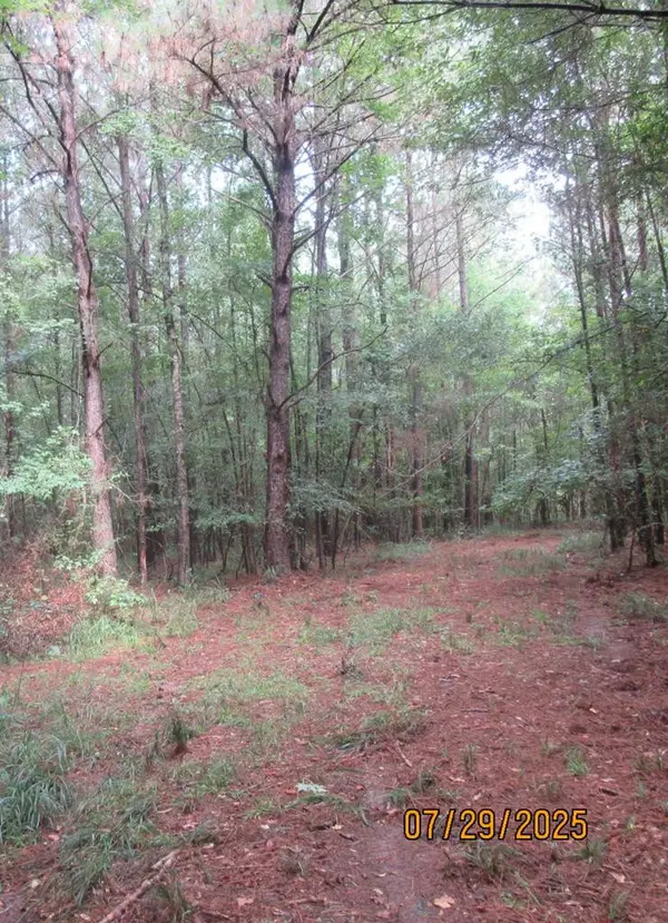 00 Hardy Williams Road, Pinola, MS 39149