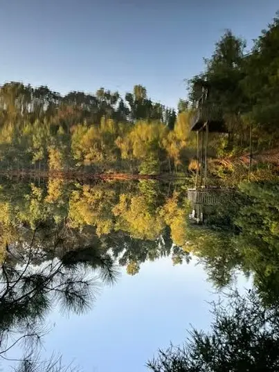 83 Jayess Road, Tylertown, MS 39667 - Image #2