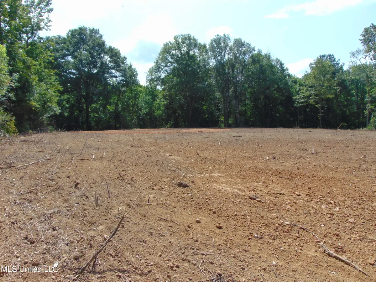 1015 Tarver Lane, Wesson, MS 39191 - Image #1