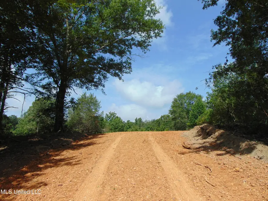 1015 Tarver Lane, Wesson, MS 39191 - Image #2