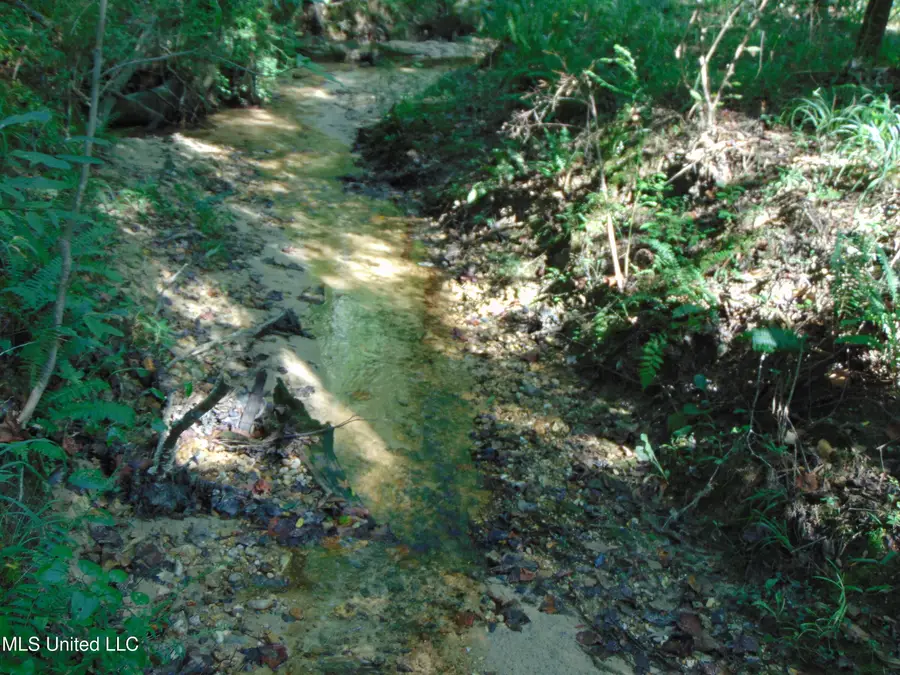 1015 Tarver Lane, Wesson, MS 39191 - Image #3