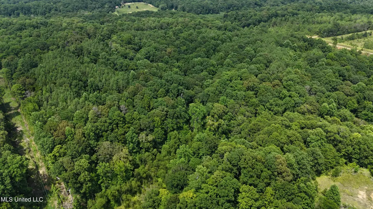 Pine Bluff Road, Cruger, MS 38924 - Image #1