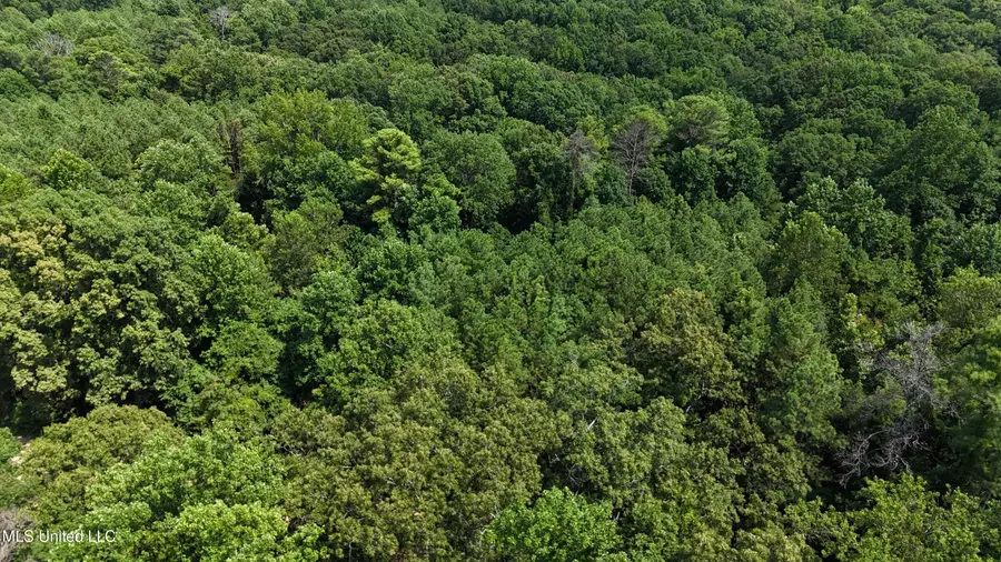 Pine Bluff Road, Cruger, MS 38924 - Image #2