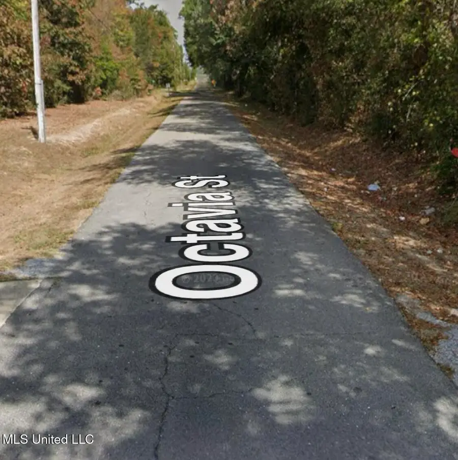 Octavia Street, Ocean Springs, MS 39564 - Image #2