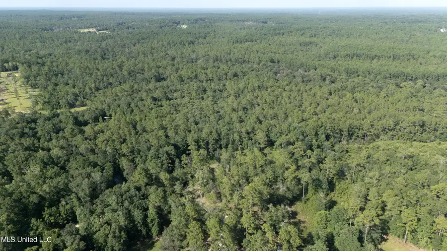 Ashmore Ridge Drive, Vancleave, MS 39565 - Image #3